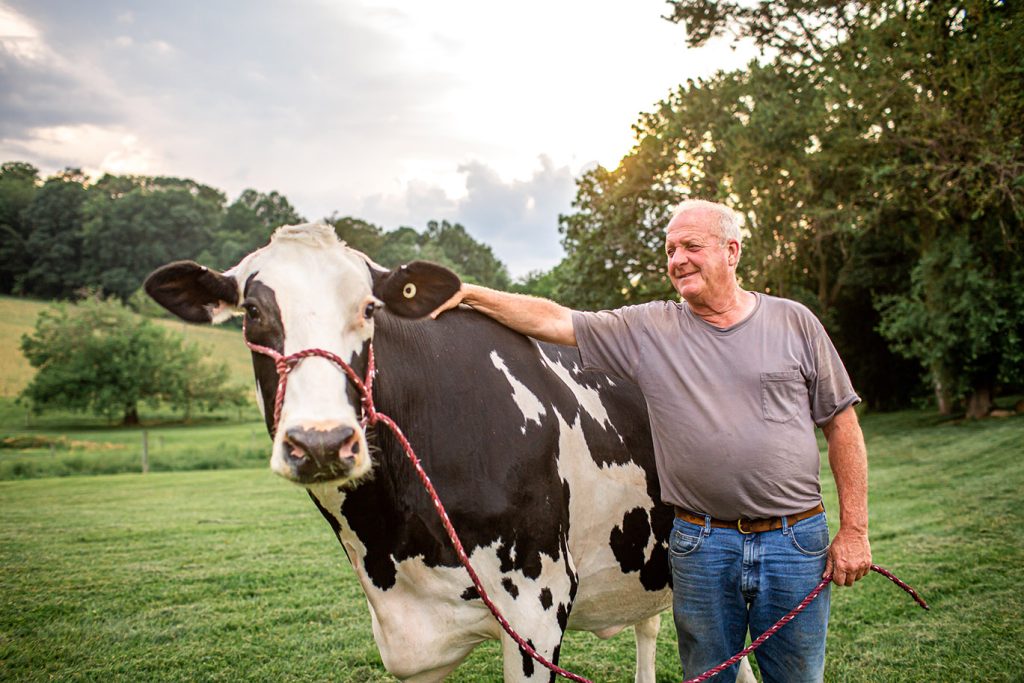 A man pets a cow