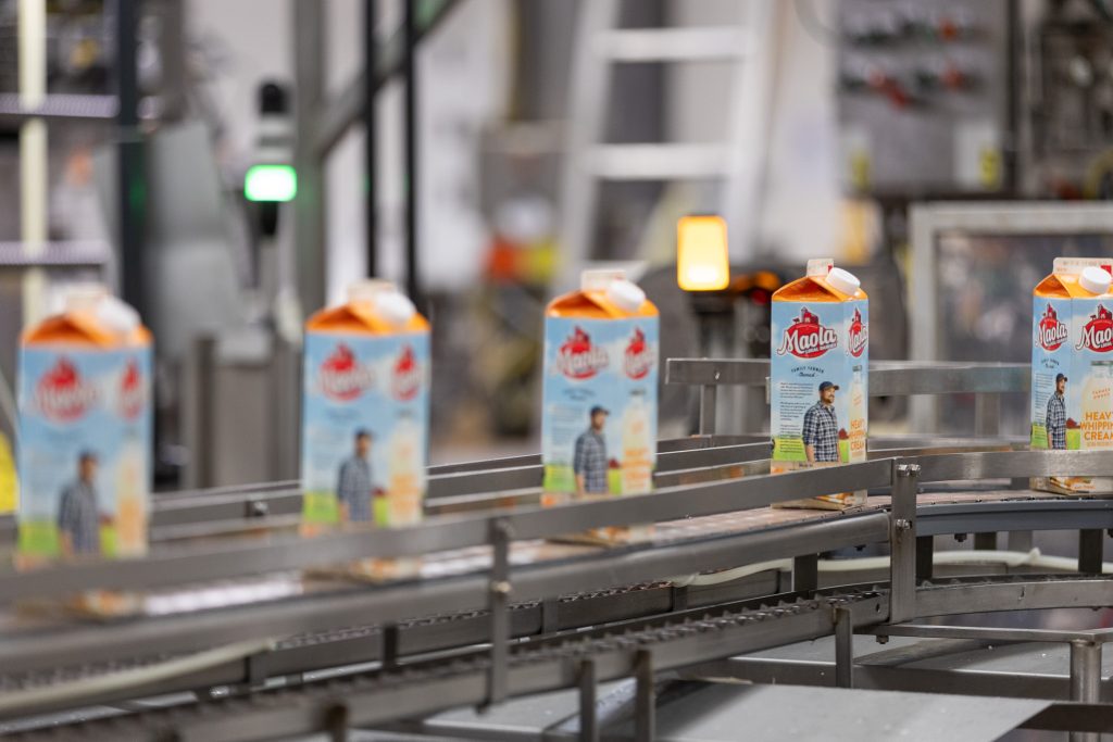 Maola heavy whipping cream on the production line
