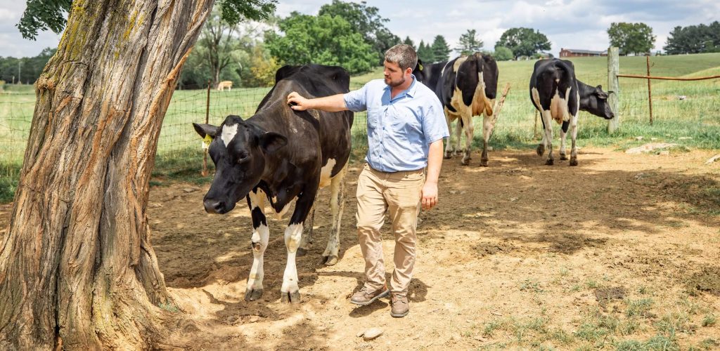 a man and pets his cow.