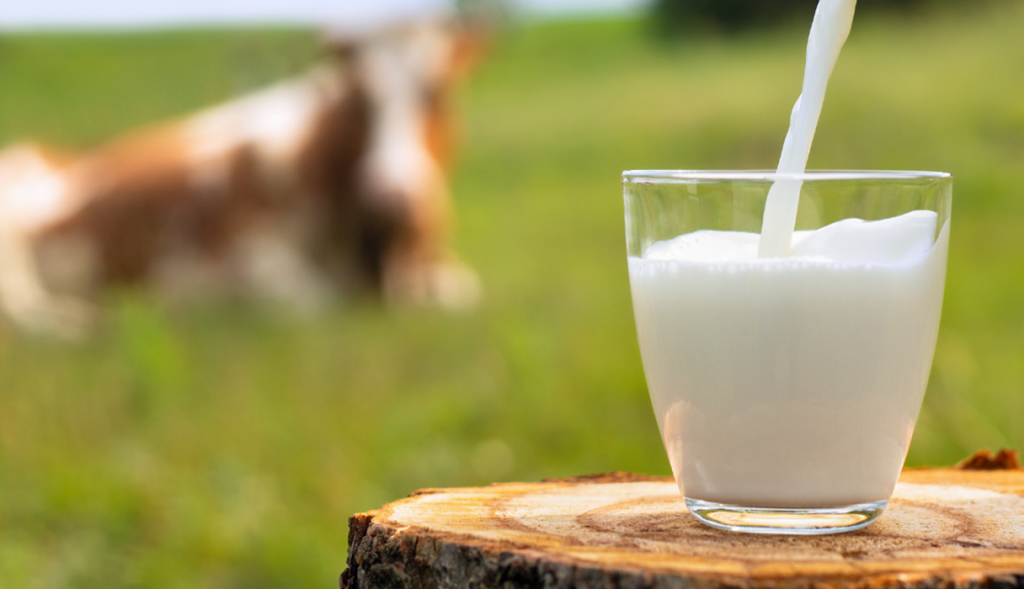 A glass of milk being poured