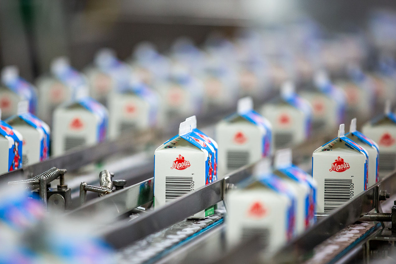 a maola milk 8 ounce carton on the production line