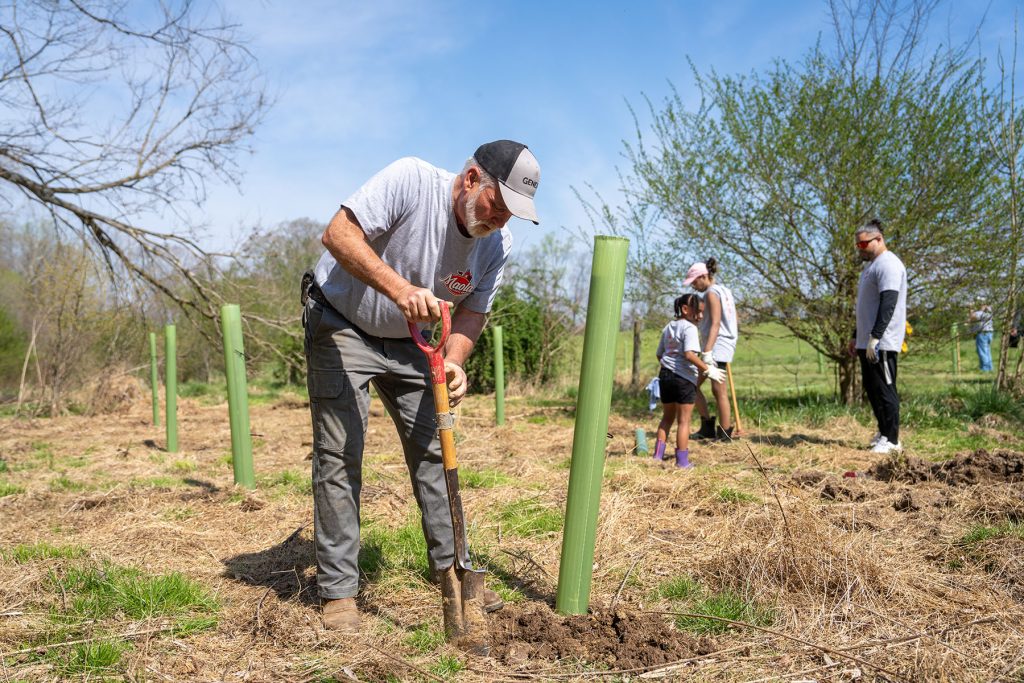a man digs his shovel into the ground as he plants a tree